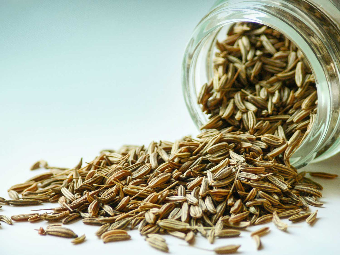 Köménymag / Kummel mag 50g