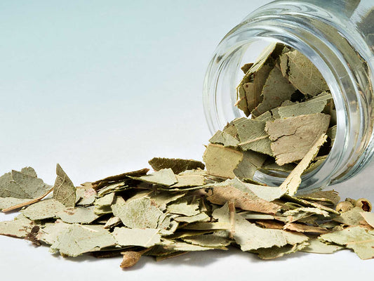 Eukaliptusz levelek 20g