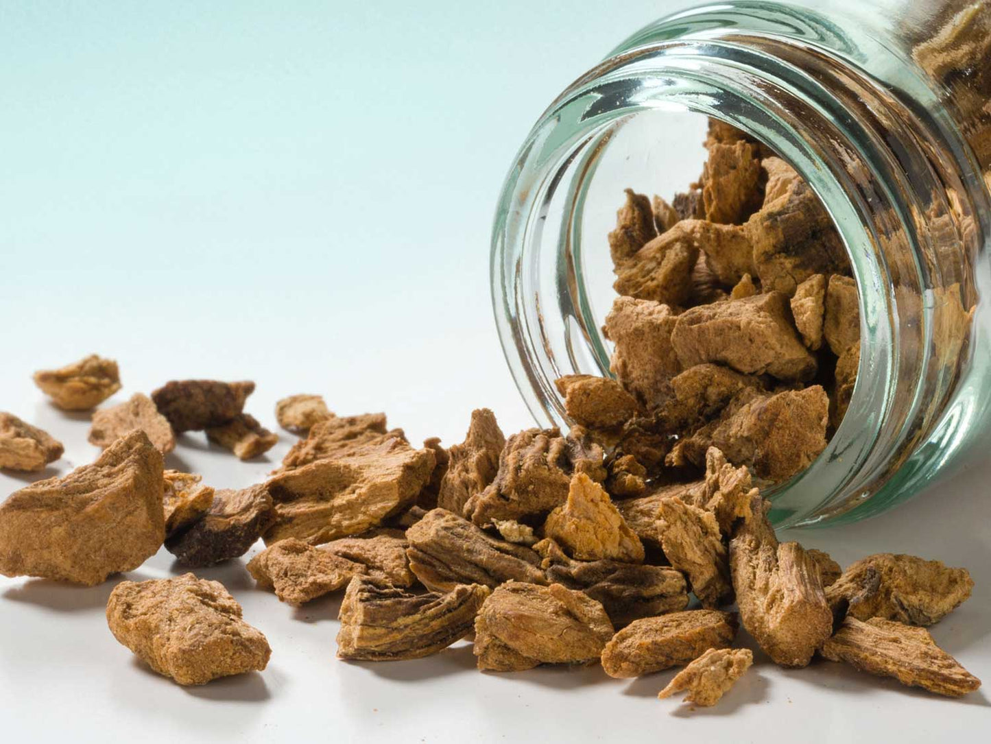 encián gyökér apróra vágva 30g