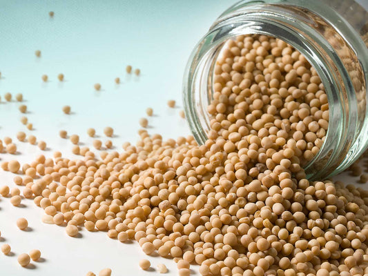 Sárga mustárszemek 50g